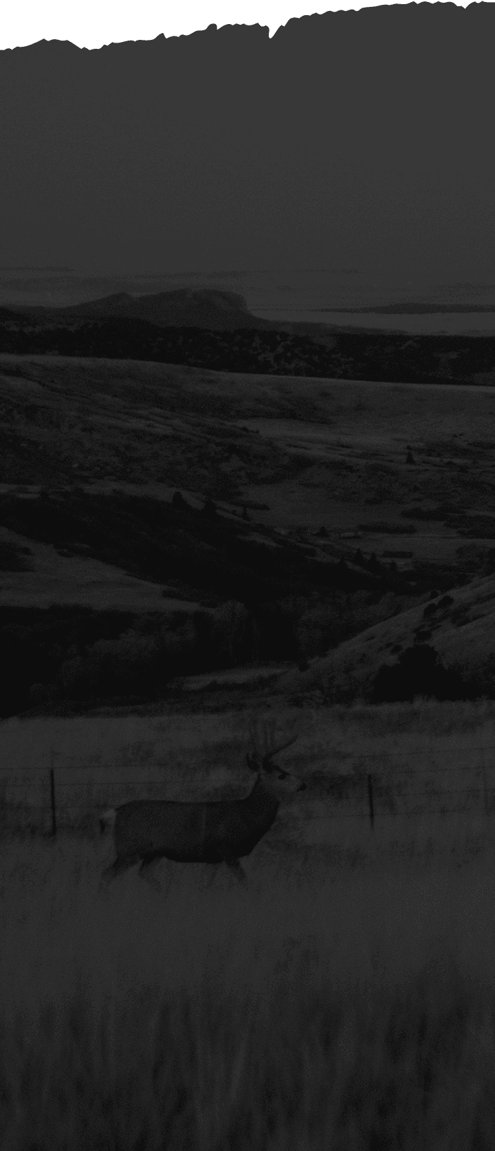 Decorative background image of PECOS valley